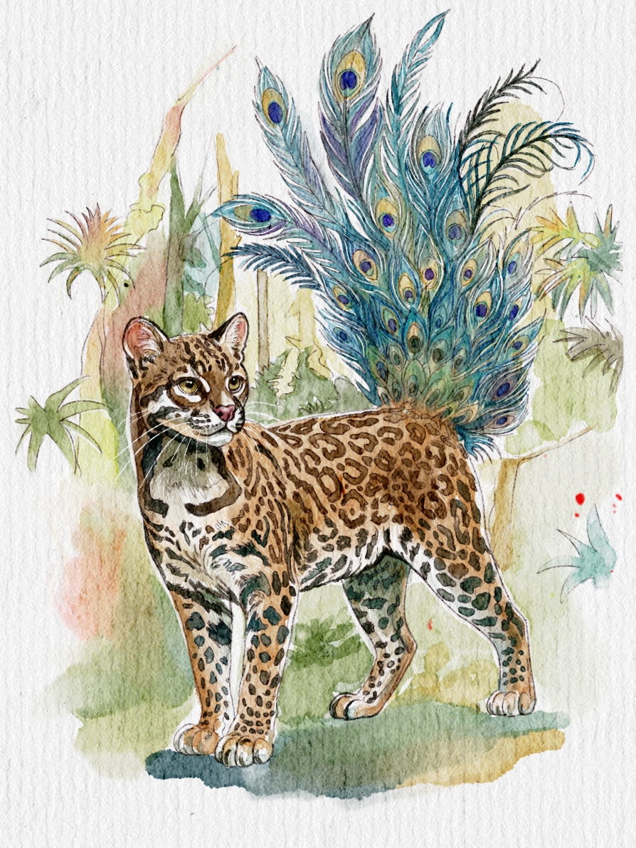 Ocular Lyrecat